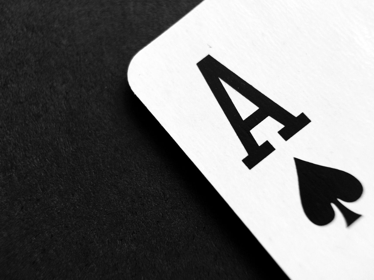 The House Always Wins? Why Smart Players Still Show Up